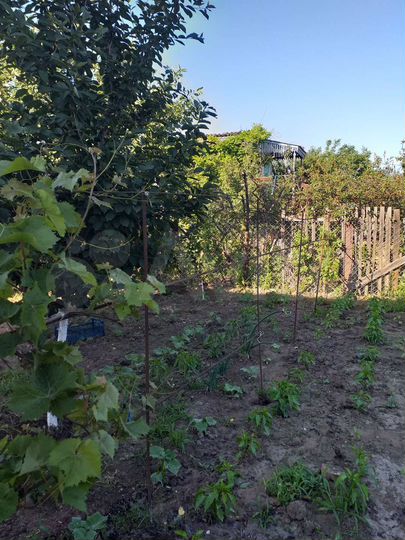 Дача 18 м² на участке 6 сот.