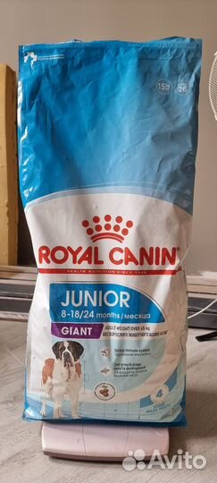 Корм для собак