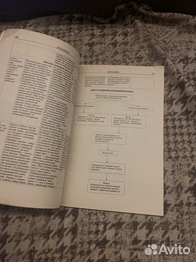 Справочник