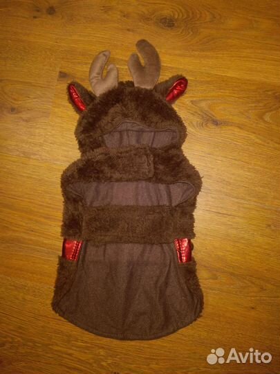 Одежда для собак