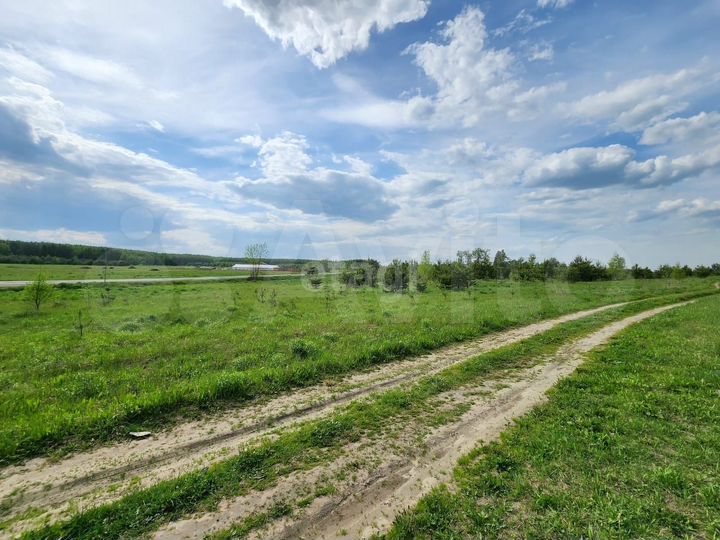 Участок 5,58 га (СНТ, ДНП)