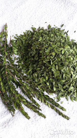 Мирт сушенный