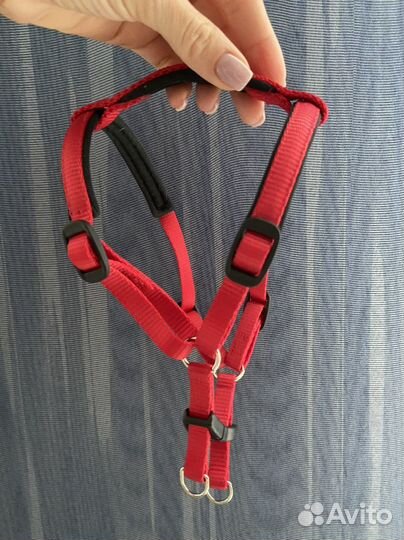 Шлейка и поводок для собак мелких и средних пород