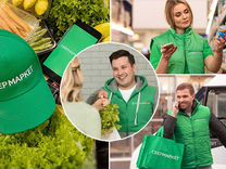 единый день голосования в 2022 году. за кого проголосовать на выборах. за кого голосовать. механизм мобильный избиратель. выборы какие выходные.