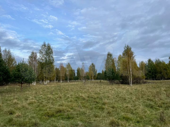 Участок 20 сот. (СНТ, ДНП)