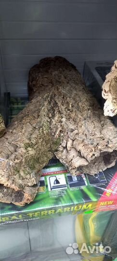 Пробковая кора