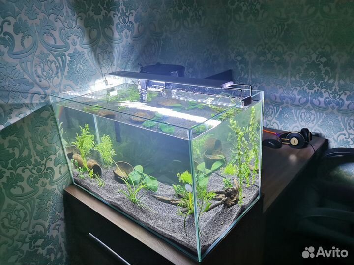 Аквариум на 100 литров