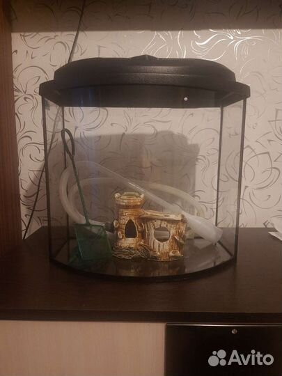 Аквариум