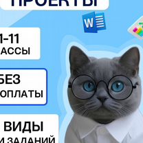 Школьный и индивидуальный проект для колледжа, Саранск