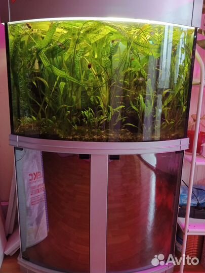 Аквариум на 150 литров