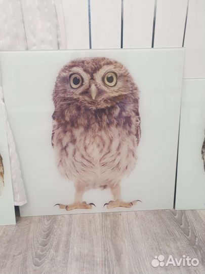 Картины на стекле Сова