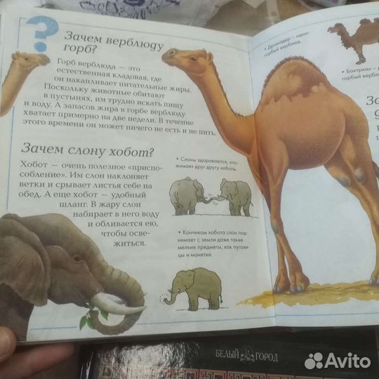 Мини энциклопедии для детей