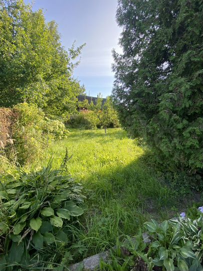 Дом 169,9 м² на участке 12 га