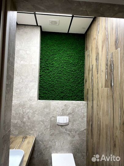 Мох ягель Панно Панно со мхом Мох в интерьере