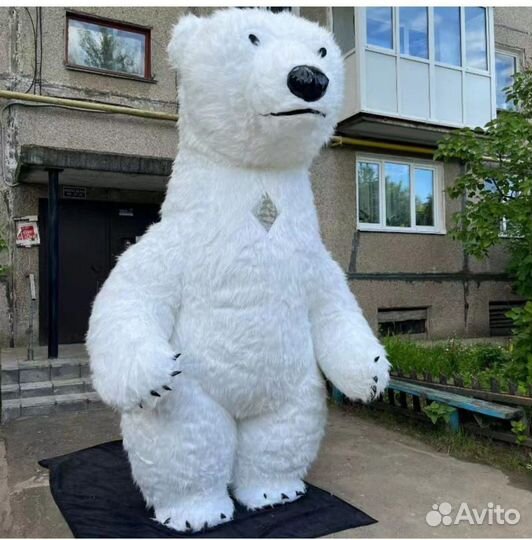 Экспресс поздравление от белого медведя и панды