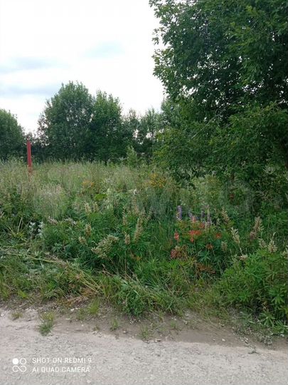 Участок 10 сот. (СНТ, ДНП)