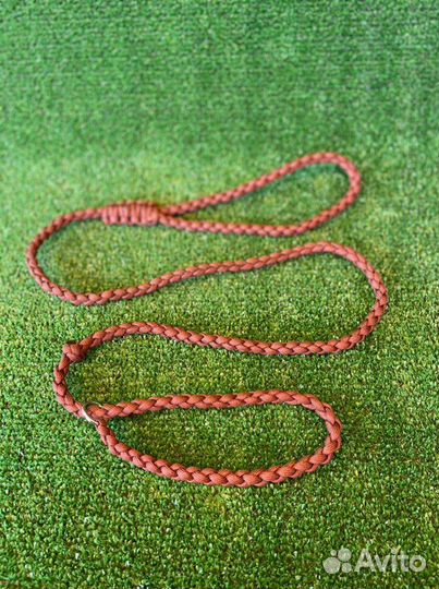 Ринговка для собак