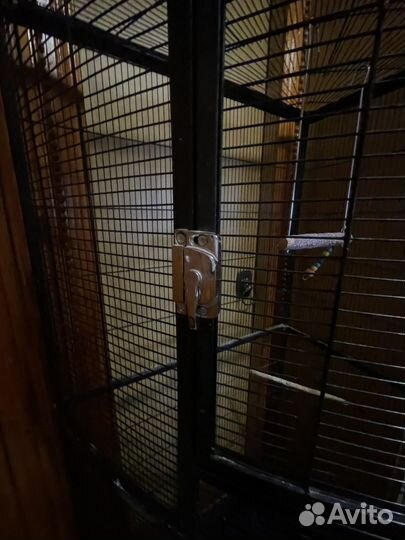 Большая клетка для попугая и птиц