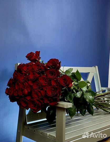 Розы 100см Метровые розы