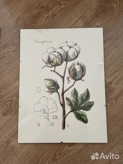 Картины и постеры