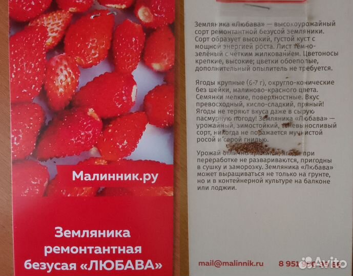 Семена овощей