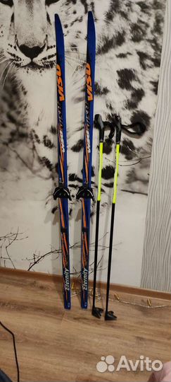 Лыжи и лыжные палки