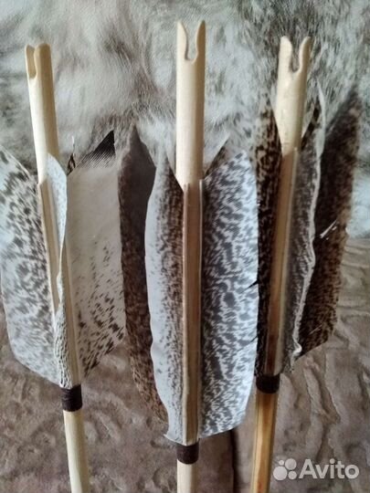 Стрелы и колчан для лука