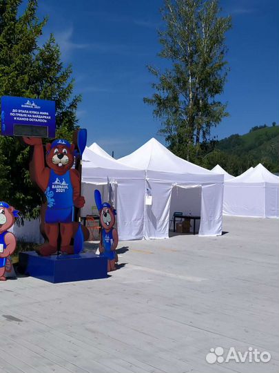 Шатры в аренду