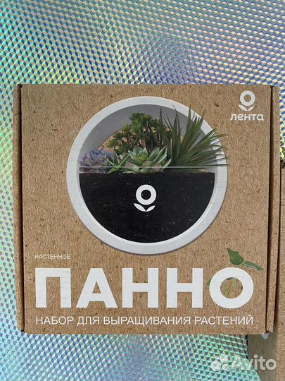 Панно (флорариум) настенное