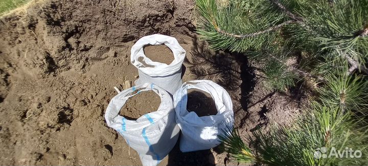 Смесь, чернозем полевой, навоз сыпец 3г, привезу