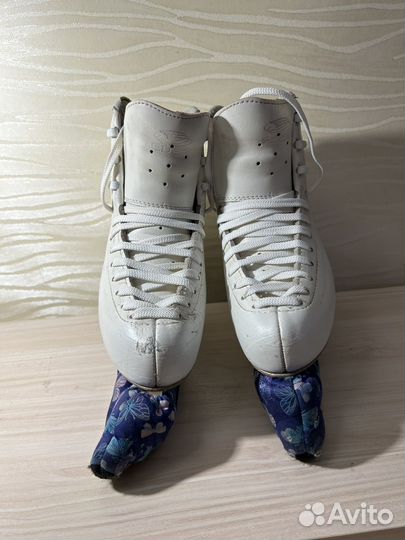 Коньки edea chorus