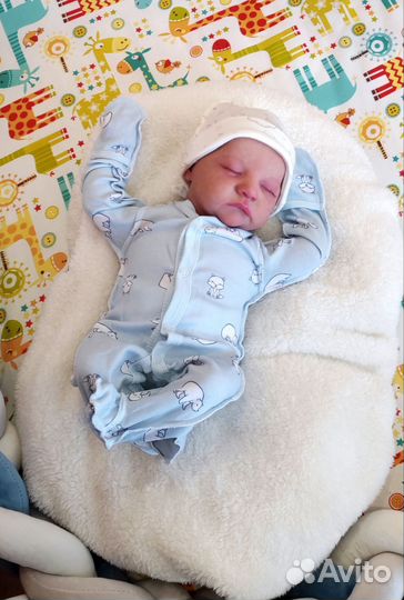 Реборн Леви