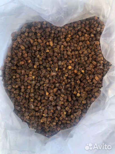 Перга пчелиная