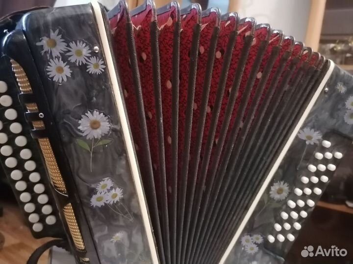 Гармонь шуйская