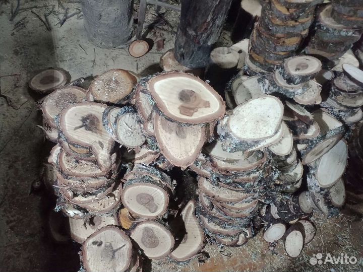 Торцевые спилы деревьев