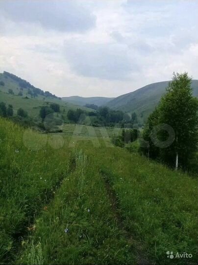 Участок 70 га (СНТ, ДНП)