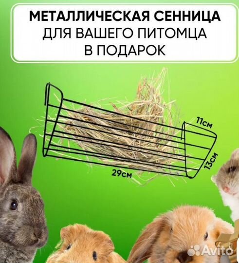 Клетка большая