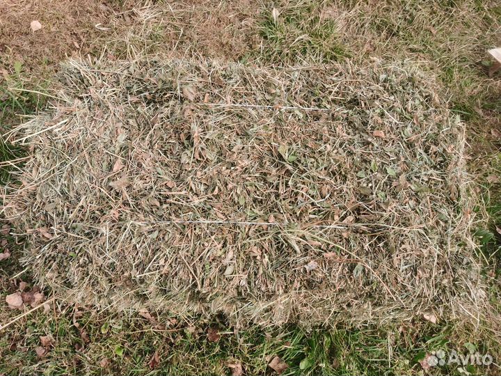 Сено в тюках