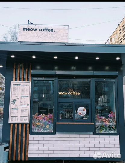 Бариста (Meow Coffee)