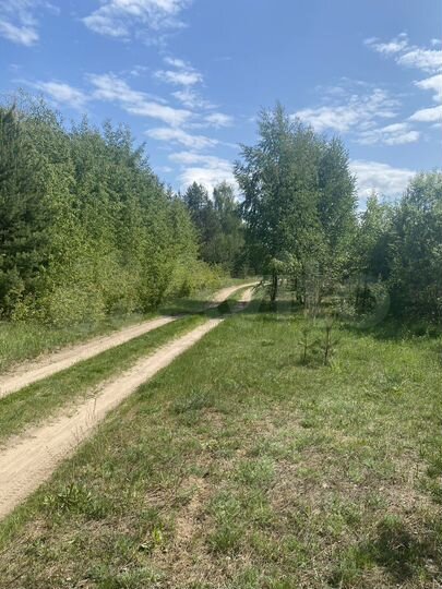 Участок 11 сот. (СНТ, ДНП)