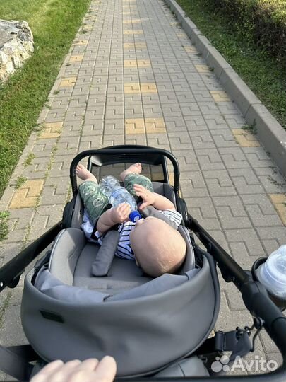 Коляска anex e type 3 в 1