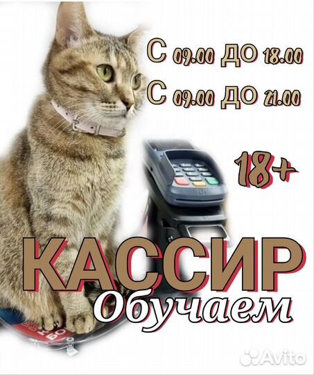 Вакансия продавец кассир