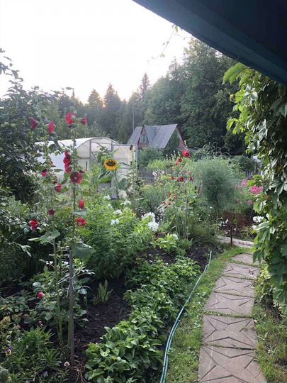 Дача 24 м² на участке 5 сот.