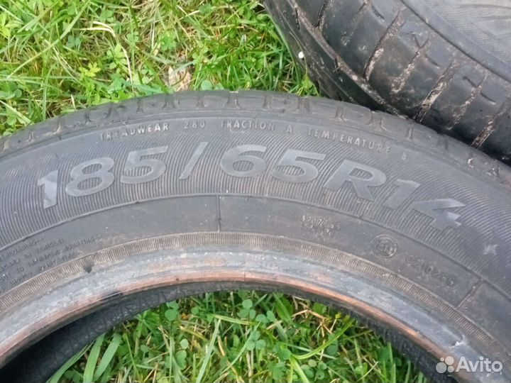 Sava Perfecta 185/65 R14