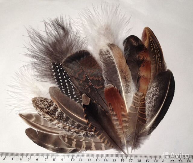 Перья индейки и др. птиц в наборах