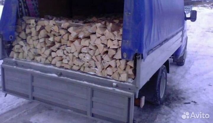 Дрова березовые