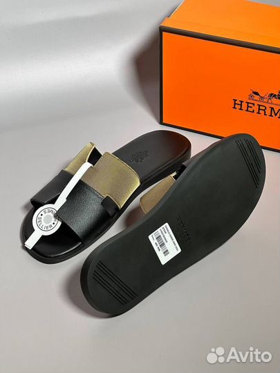 Сланцы hermes