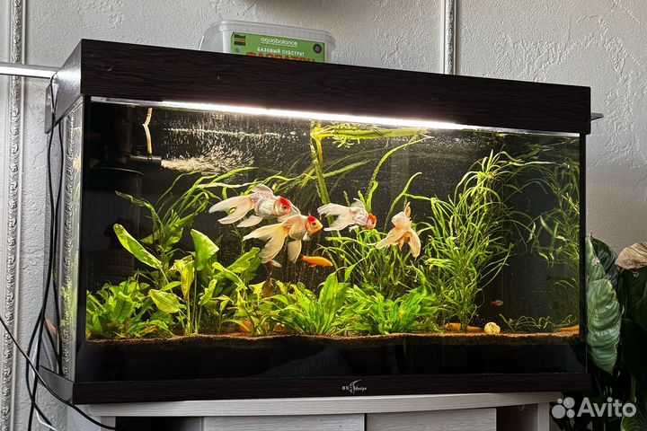 Аквариум с тумбой