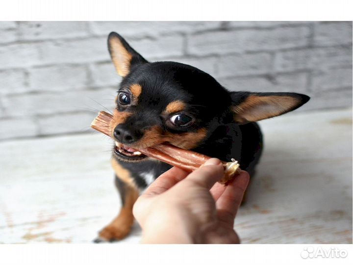 Корм для собаки. Без накруток