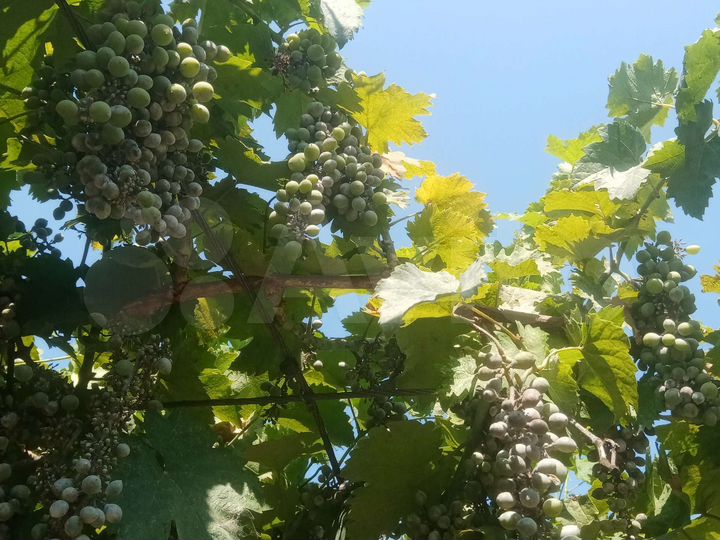 Дом 72 м² на участке 1 сот.